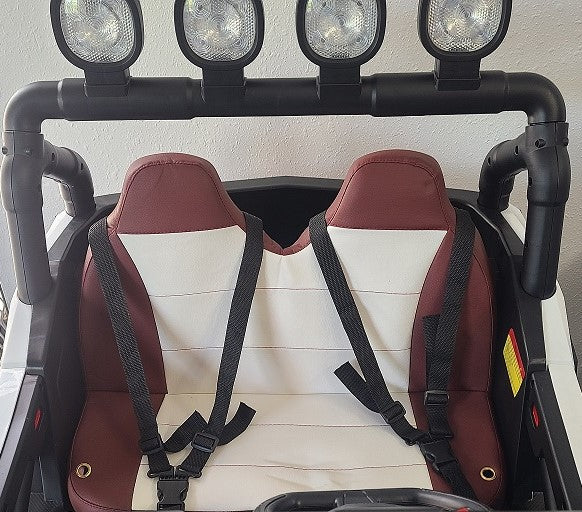 RZR off road 24Volt 2 passenger